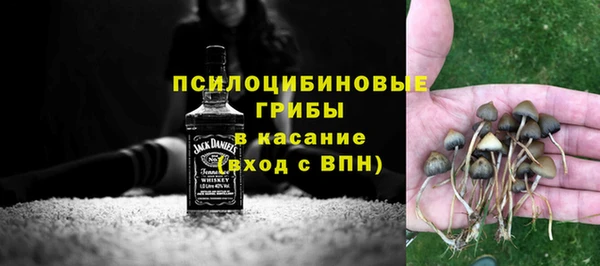 индика Верхнеуральск