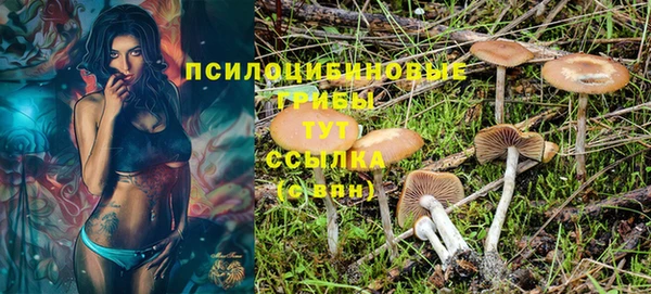 а пвп мука Верея