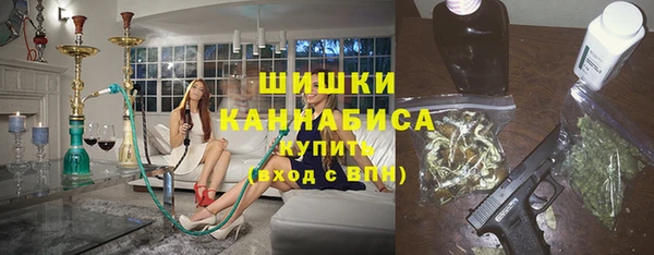 Альфа ПВП Бородино