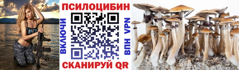 Псилоцибиновые грибы Magic Shrooms  Сретенск 